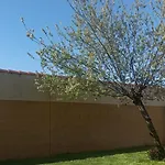 La Casa De Paco Cabrera * Narros de Cuellar